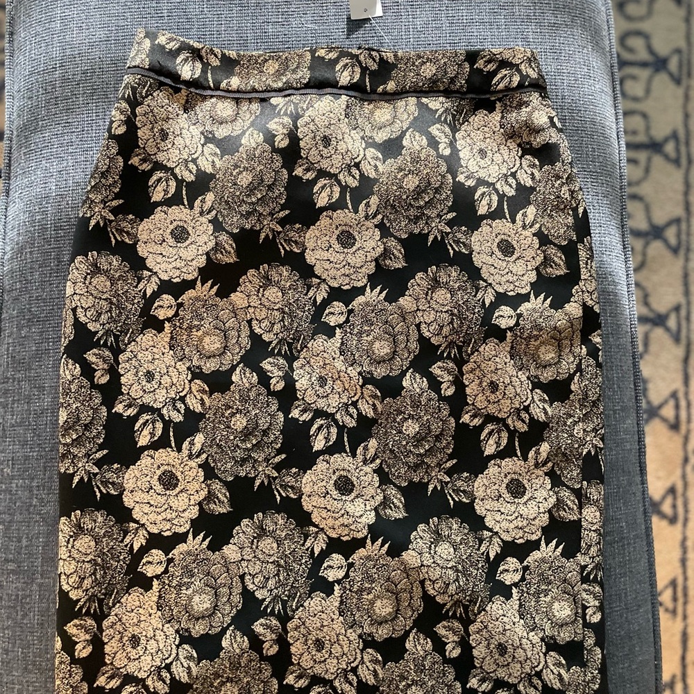 Ann Taylor Skirt